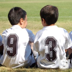 Team Numbers For Sports